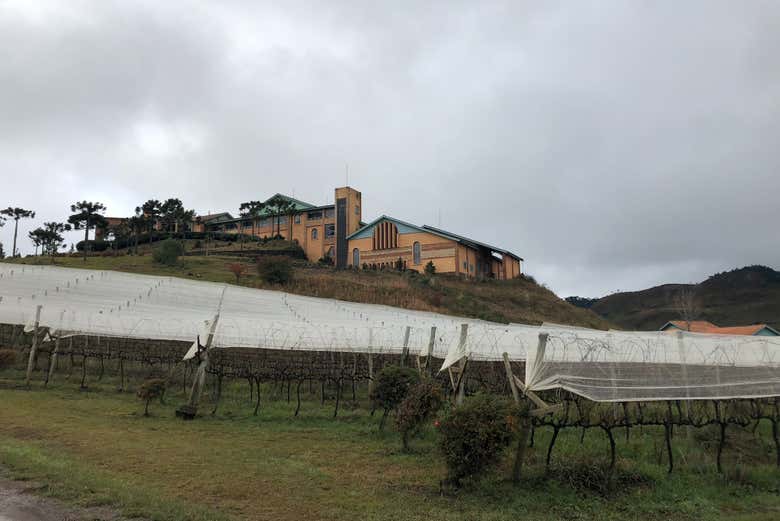 Tour del vino por São Joaquim - Galería 1