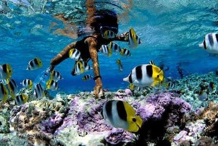 Snorkel en Unawatuna
