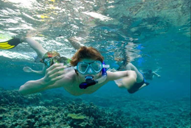 Snorkel en Unawatuna