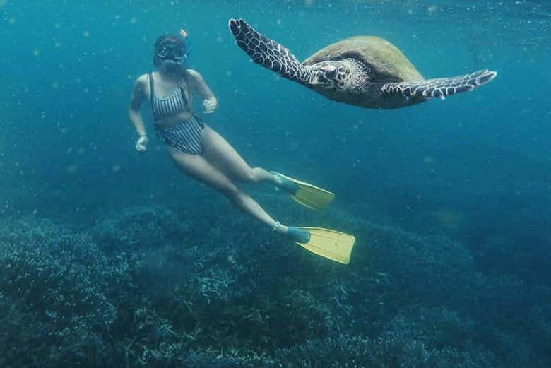 Snorkel en Mirissa