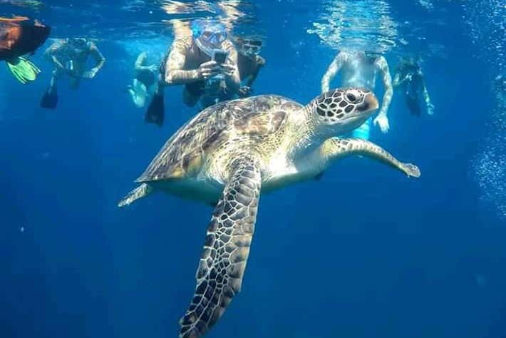 Snorkel en Mirissa