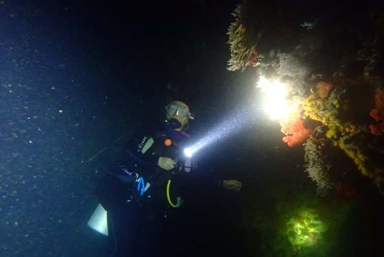 Buceo en Mirissa
