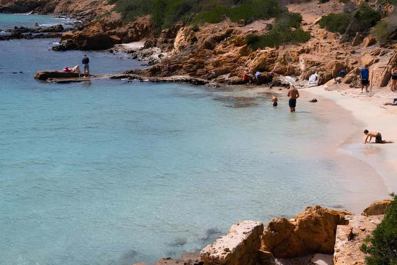 Excursión al Parque Nacional de Asinara