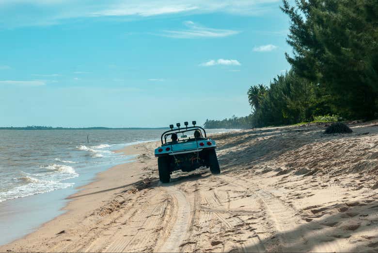 Tour en buggy por Samaná
