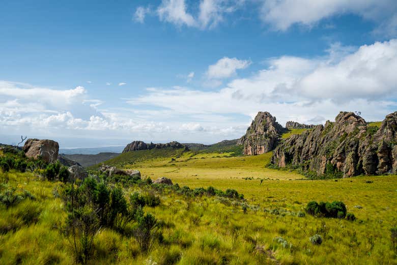 Safari de 5 días por Masái Mara, Lago Nakuru y Parque Nacional Aberdare