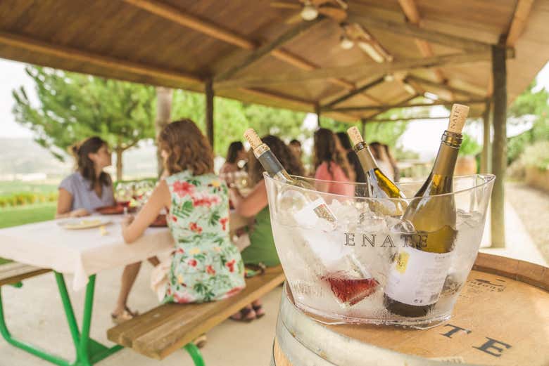 Visita a la bodega ENATE