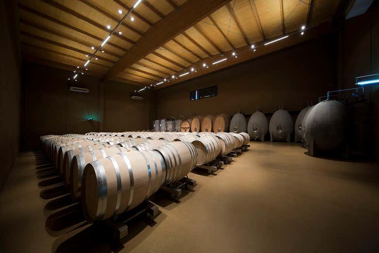 Visita a las bodegas José Pariente
