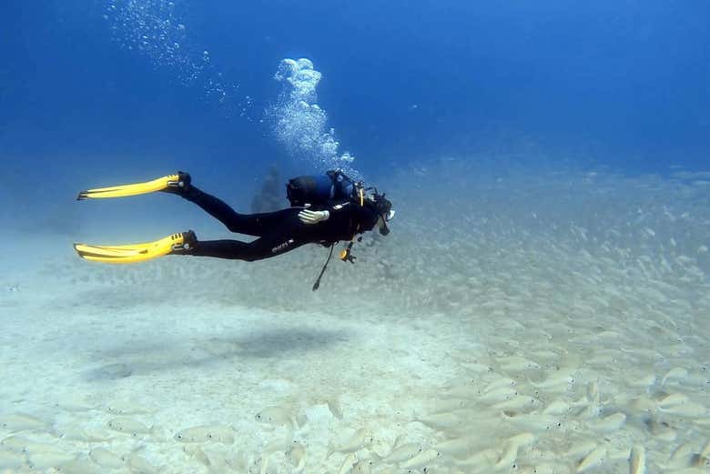 Bautismo de buceo en Playa Blanca