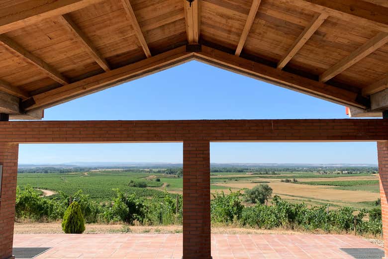 Visita a las bodegas Durón