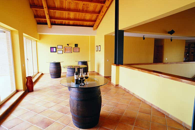 Visita a las bodegas Durón