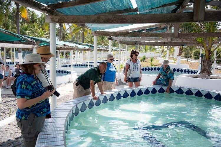 Excursión al Tortugario Ecológico y la laguna de Cuyutlán