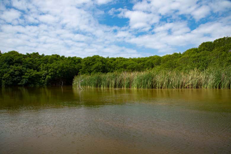 Excursión al Tortugario Ecológico y la laguna de Cuyutlán
