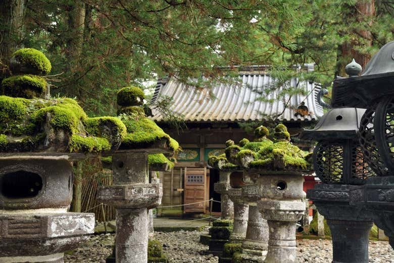 Excursión a Nikko - Galería 2