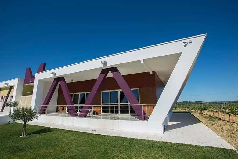 Visita a la bodega Quinta Monteiro de Matos