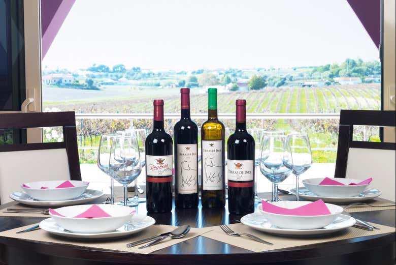 Visita a la bodega Quinta Monteiro de Matos
