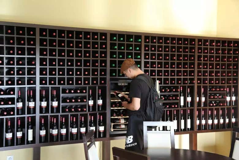 Visita a la bodega Quinta Monteiro de Matos