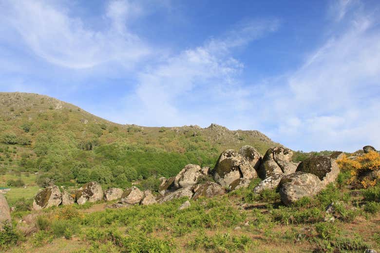 Senderismo por el bosque vetón de Cabezabellosa