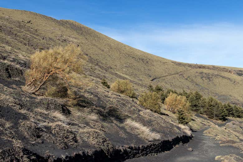 Trekking por el Etna y el valle del Bove