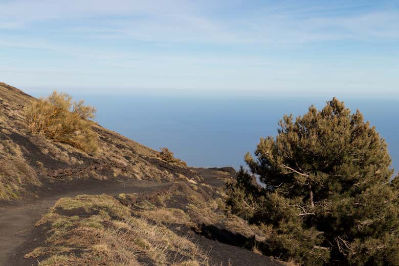 Trekking por el Etna y el valle del Bove
