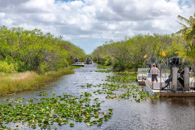 Oferta: Everglades + Autobús turístico de Big Bus + Casas de los Famosos