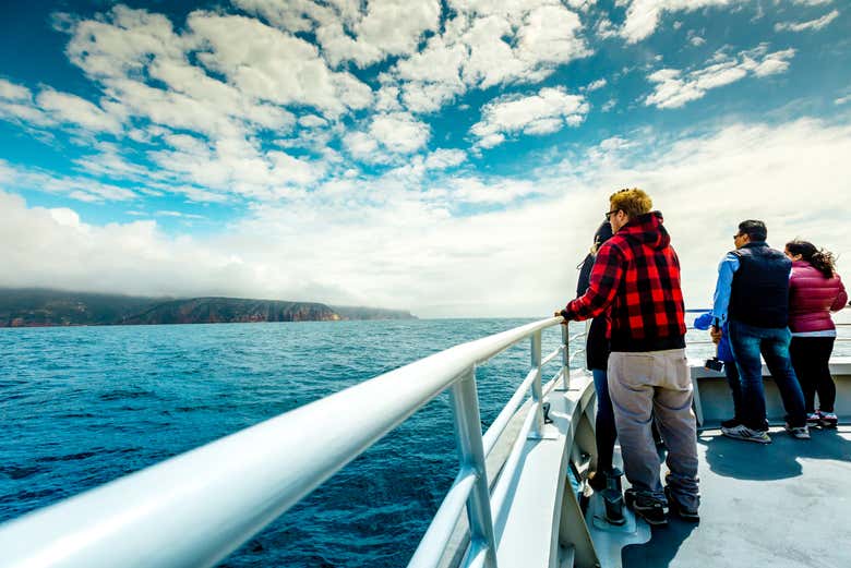 Paseo en barco por la península de Freycinet y Wineglass Bay