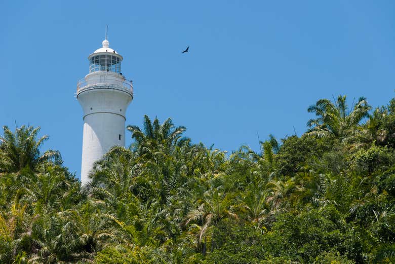 Excursión a Morro de São Paulo