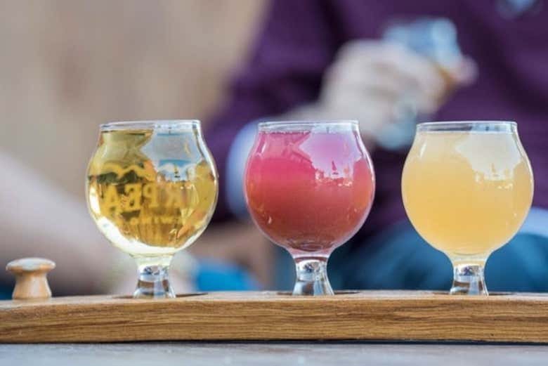 Tour de la cerveza artesanal por Teutônia