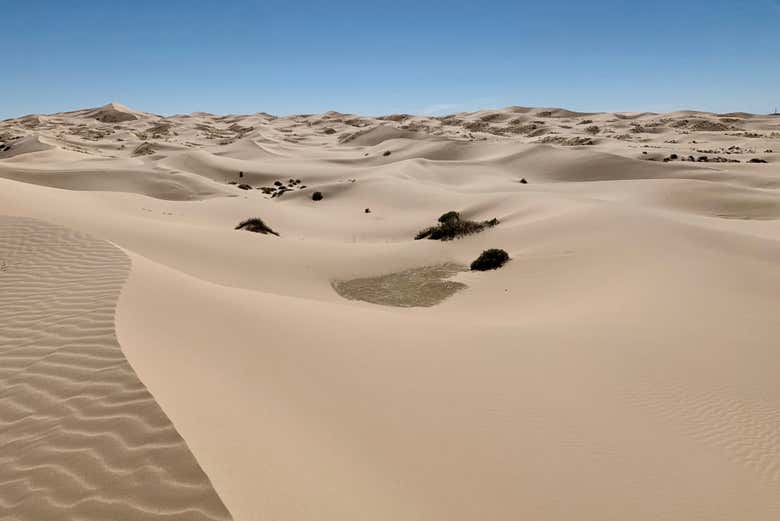 Sandboarding en las dunas de Samalayuca