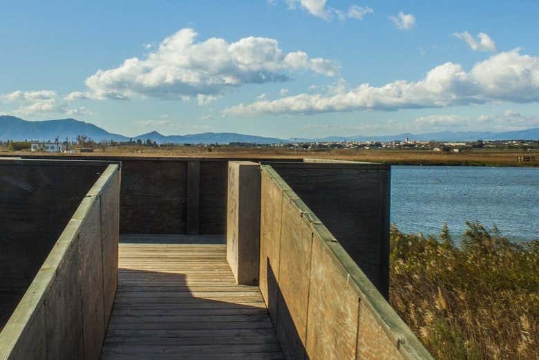 Avistamiento de aves en el Delta del Ebro