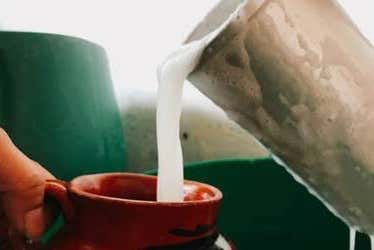 Degustación de pulque