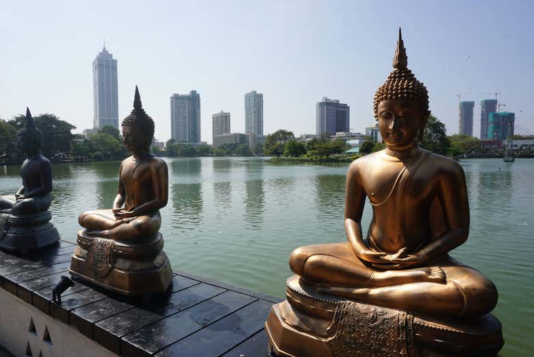 Visita guiada por Colombo