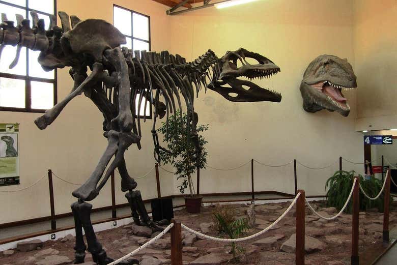 Excursión a Villa El Chocón + Museo Paleontológico