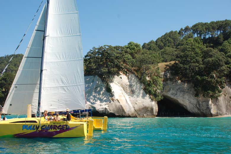 Paseo en barco por la costa de Coromandel