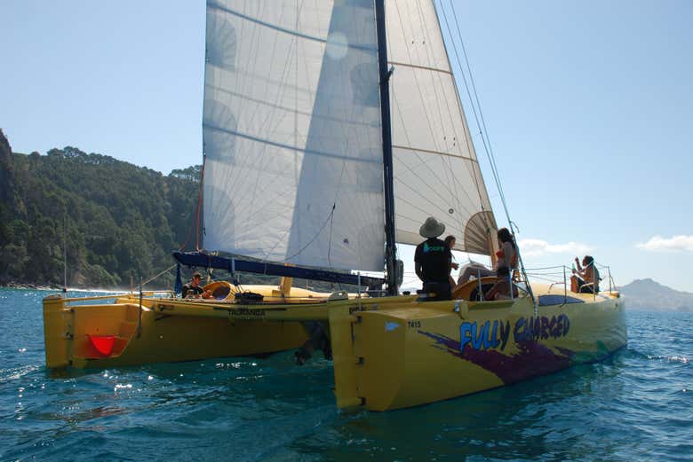 Paseo en barco por la costa de Coromandel