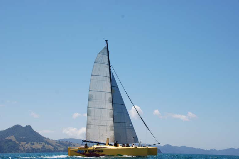 Paseo en barco por la costa de Coromandel