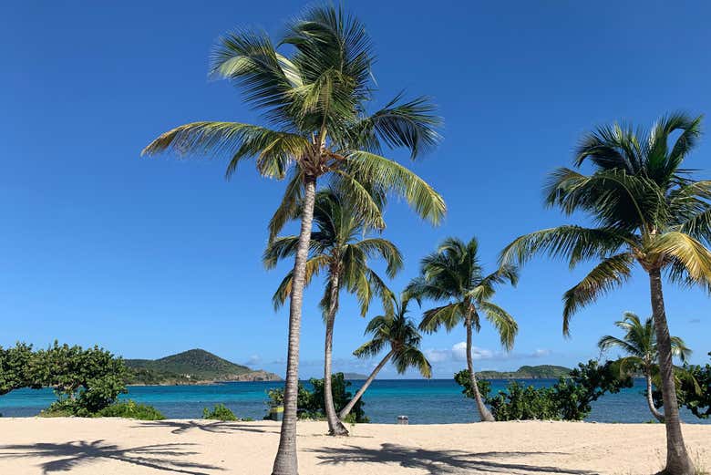 Tour por las playas de Saint Thomas - Galería 2