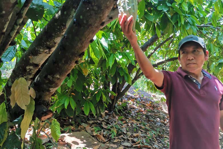 Tour gastronómico por Cerro Islá - Galería 2
