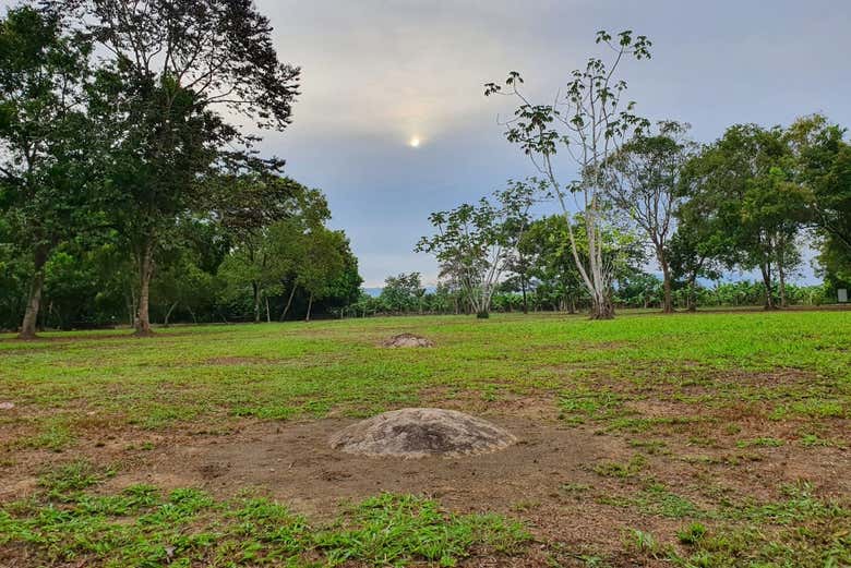 Excursión al Sitio Arqueológico Finca 6