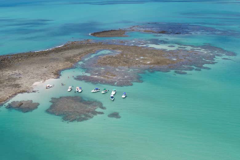 Paseo en barco por las piscinas naturales de Japaratinga