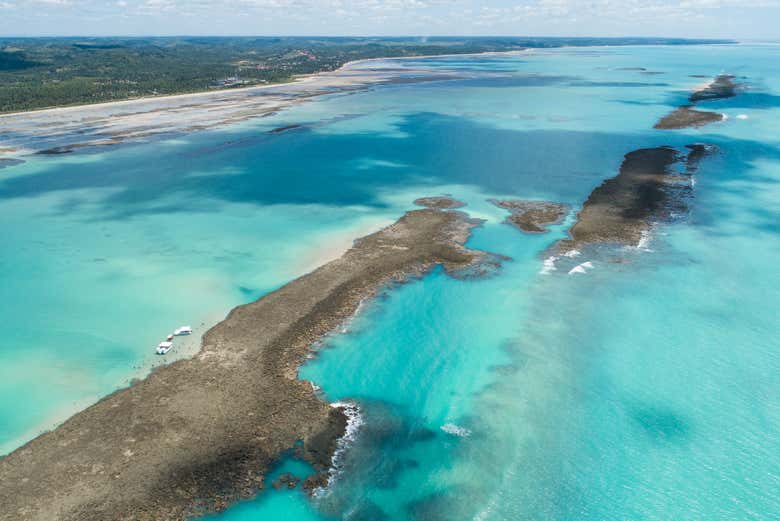 Paseo en barco por las piscinas naturales de Japaratinga