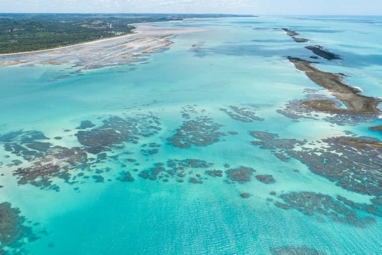 Paseo en barco por las piscinas naturales de Japaratinga
