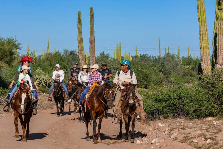 Paseo a caballo por el desierto de Baja California