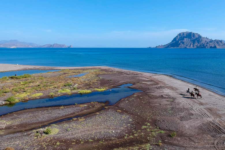 Paseo a caballo por el desierto de Baja California