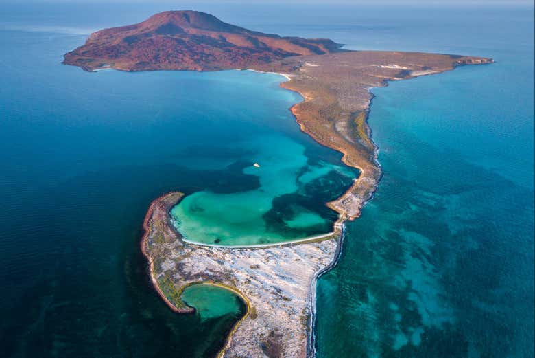 Excursión a la isla Coronado