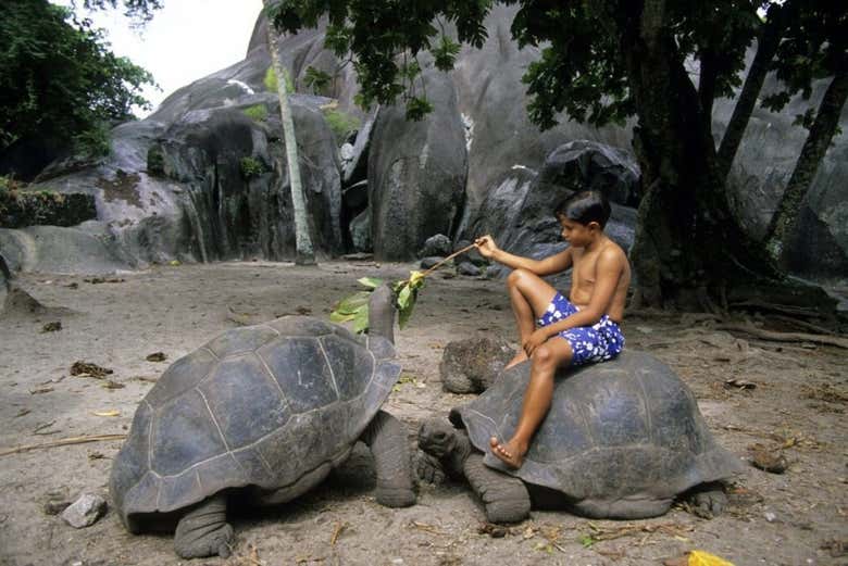 Tour por La Digue
