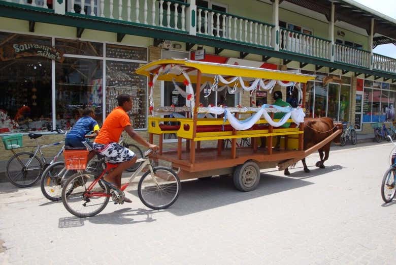 Tour por La Digue