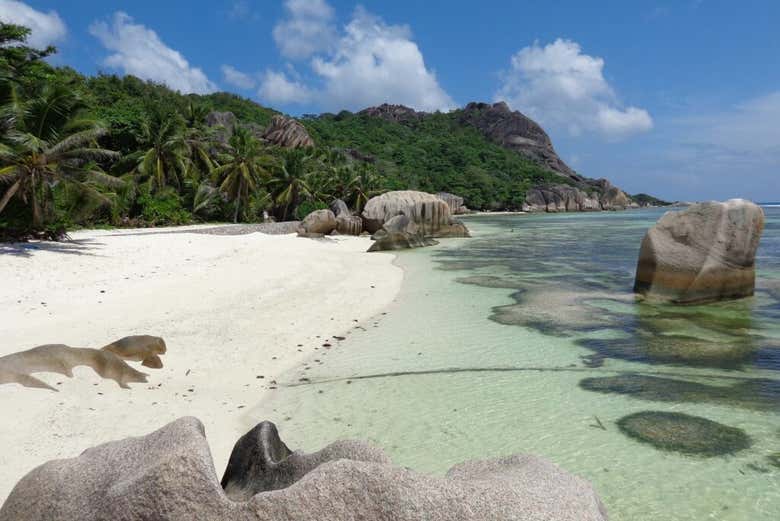Tour por La Digue