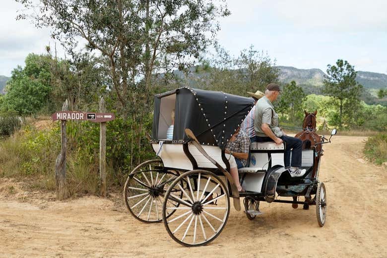 Paseo en calesa por el Valle de Viñales