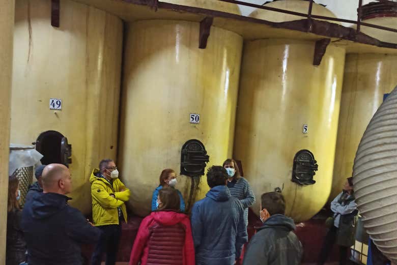 Visita a la bodega Cristo del Humilladero