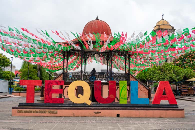 Excursión a Tequila con espectáculo mariachi + Tren José Cuervo Express - Galería 2